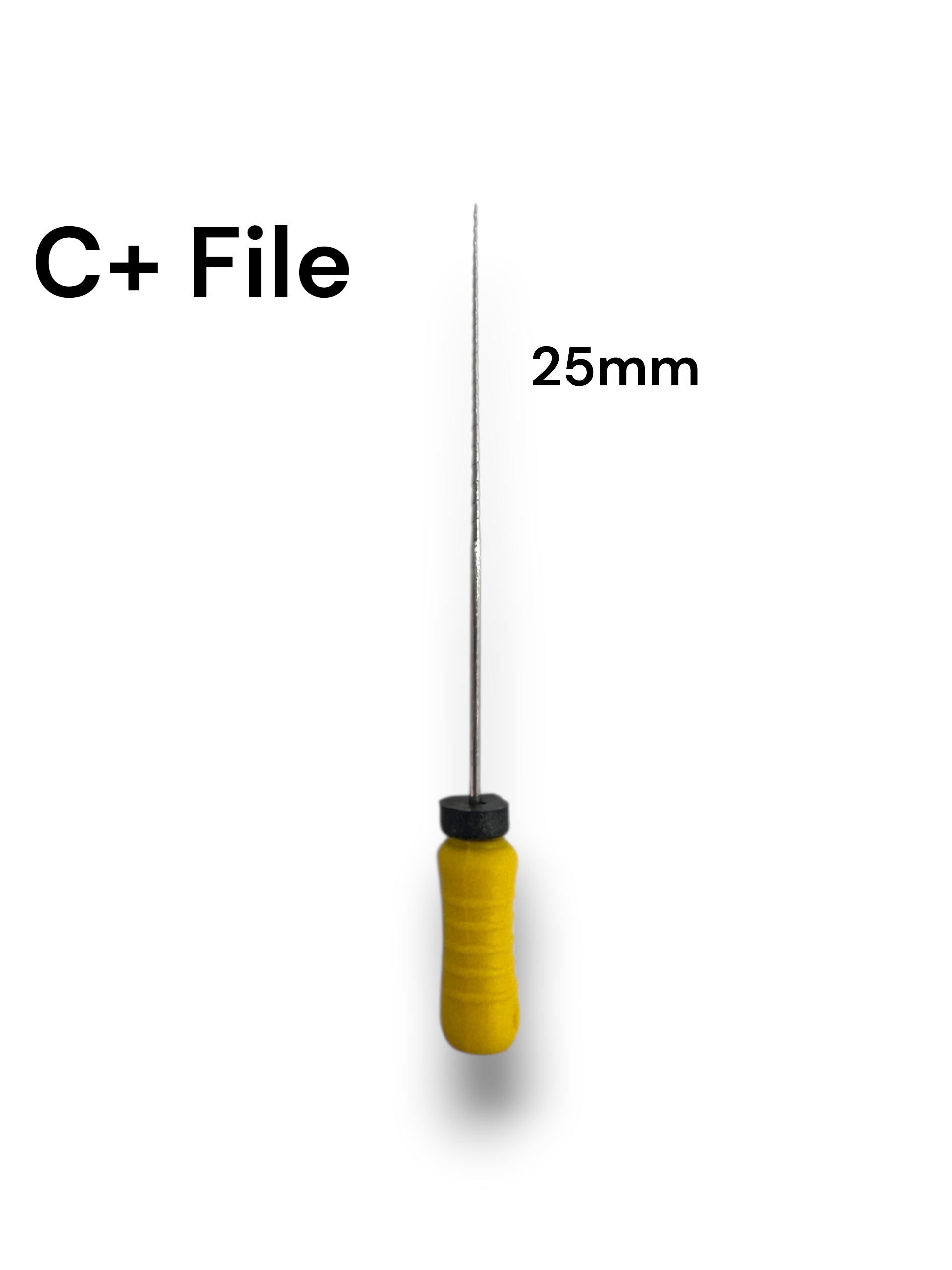 C+ File